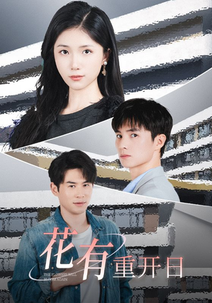 花有重开日（41集）短剧看全集