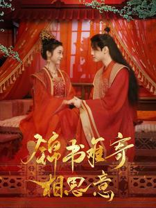 锦书难寄相思意（97集）分享好看短剧