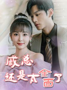 戚总还是太全面了（57集）全网独播免费看