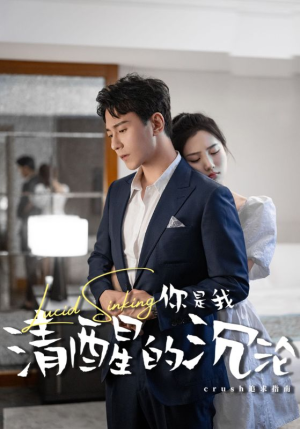 你是我清醒的沉沦（48集）在线看
