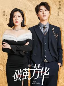 破茧芳华(80集) 破茧芳华(80集)直接追到结尾