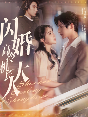 闪婚高冷机长大人（92集）热门短剧推广