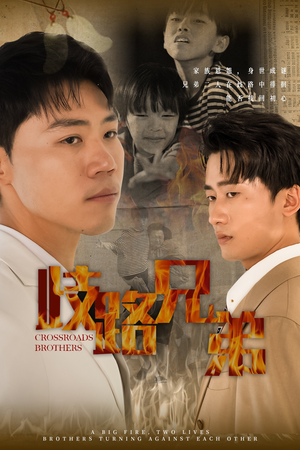 歧路兄弟（63集）好看短剧看不停