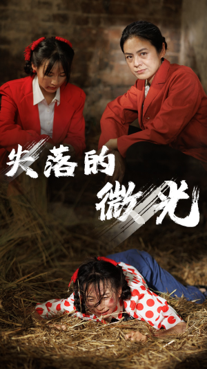 失落的微光(60集) 失落的微光(60集)独家资源免费看