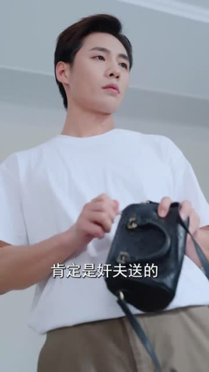 妻子不能说的秘密（30集）这部短剧我爱了