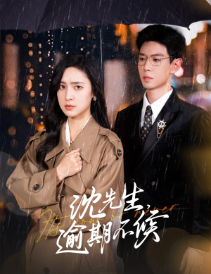 沈先生，逾期不候（75集）经典老剧免费看