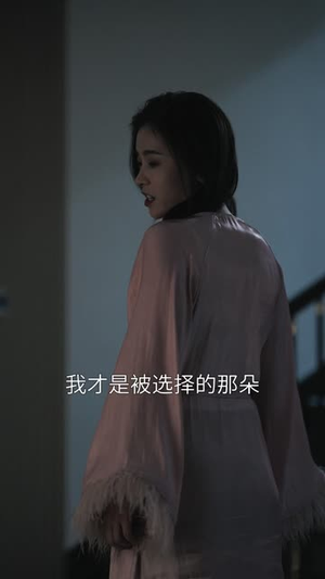 替身金丝雀（66集）更新时间