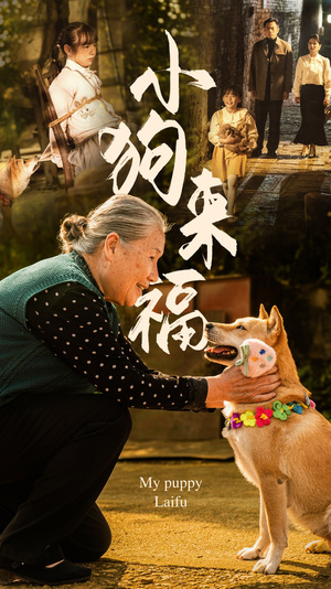 小狗来福(30集) 小狗来福(30集)最新短剧推荐