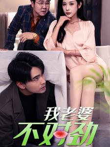 我老婆不对劲（34集）常回家看看短剧