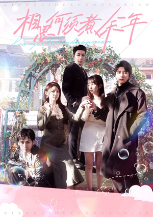 相思何须煮余年（33集）免费看短剧