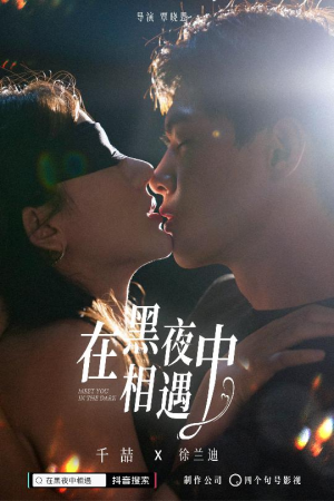 在黑夜中相遇（32集）热播短剧分享