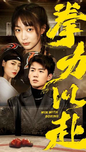拳力以赴（80集）热门短剧抢先