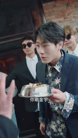 乡村卧龙(88集) 乡村卧龙(88集)全集完整版