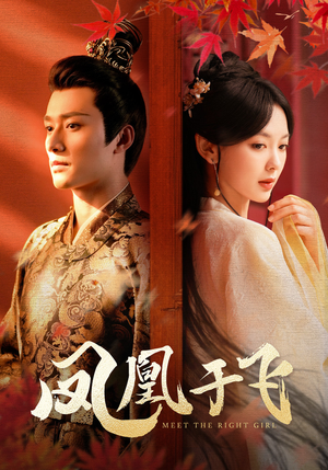 凤凰于飞（79集）好看吗