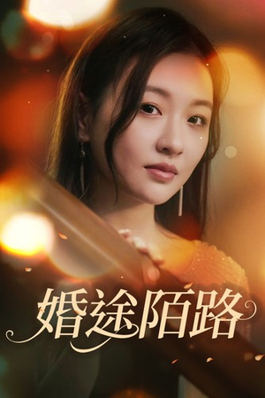婚途陌路（15集）直接看到大结局