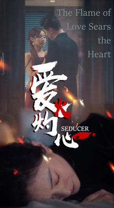 爱火灼心(99集) 爱火灼心(99集)短剧解说全集