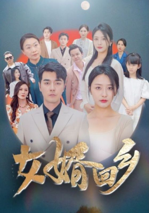 女婿回乡（120集）正能量短剧分享