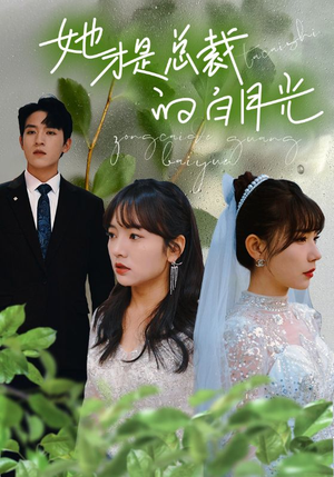 她才是总裁的白月光（90集）好看短剧追不停