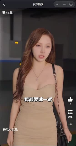 我的富豪美女总裁（我的极品女总裁）小短剧抢先看