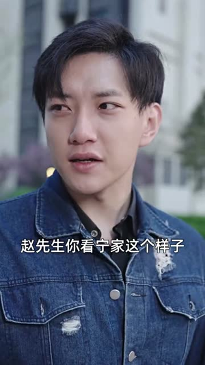 新版：镇国龙帅（102集）番茄短剧看全集