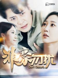 非豪勿扰（100集）最火的短剧