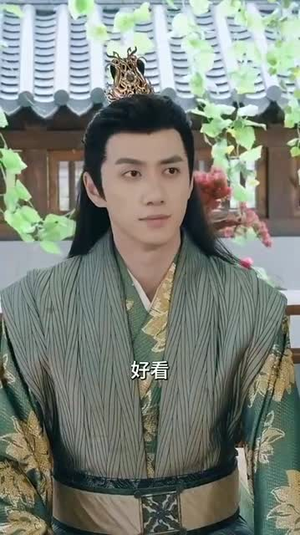 医倾天下:一品王妃要休夫(96集) 医倾天下:一品王妃要休夫(96集)深深爱上这部剧