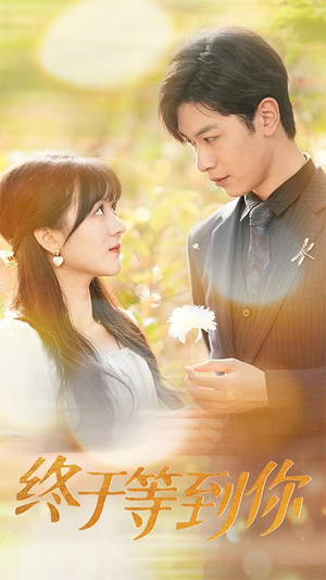 你是我的木槿年华（80集）短剧解说全集