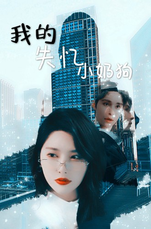 我的失忆小奶狗（64集）追短剧关注我