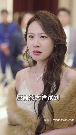 权御天下（95集）短剧介绍