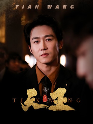 5天王(100集) 5天王(100集)免费看全网短剧