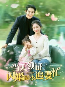 当天领证闪婚陆少追妻忙（80集）热播短剧抢先看
