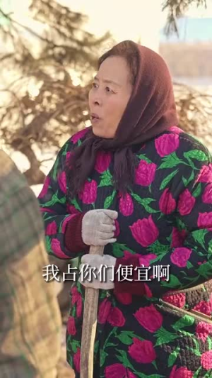 双生逆途（80集）在线看到大结局