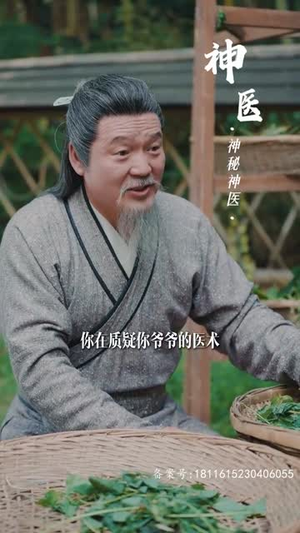 轮回（100集）精彩短剧热播