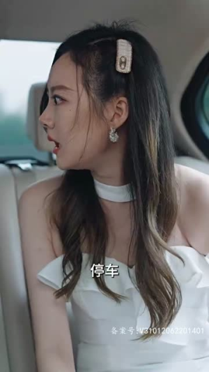 女主她一心只想搞事业(100集) 女主她一心只想搞事业(100集)短剧推荐上热门