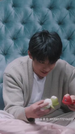 傅先生别追了大小姐是假的~85集·在哪个平台看好