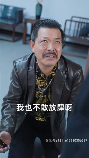 锦龙（82集）好看的国产短剧