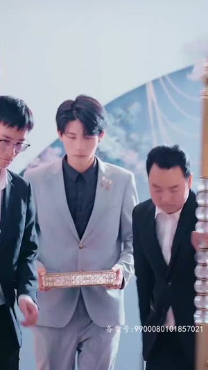 被逼嫁人当天五个大佬舅舅从天而降（81集）在线观看全集