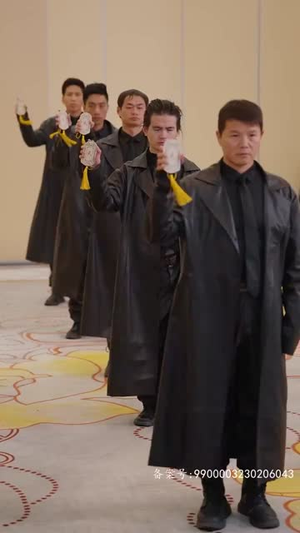 狂医圣手(80集) 狂医圣手(80集)古代短剧推荐