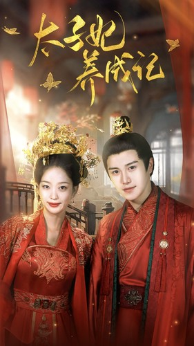 太子妃养成记（97集）高清无码免费看