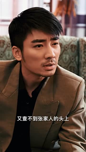 纵横2000（100集）完整版免费观看