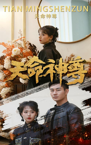 天命神尊（102集）热播短剧来袭