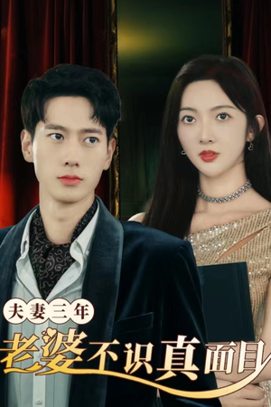 夫妻三年老婆不识真面目（83集）爆款短剧抢先看