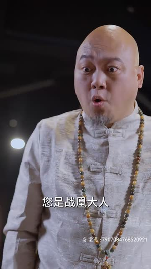 战凰（92集）精彩好看的短剧