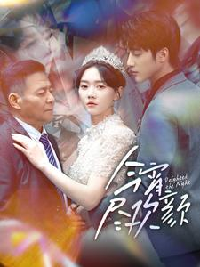 今宵尽欢颜（99集）精彩的网络短剧