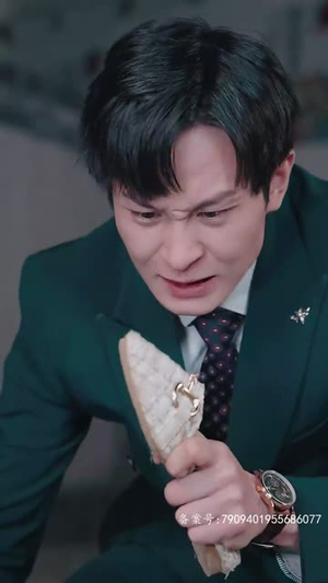 真假爱人(100集) 真假爱人(100集)夸克在线观看