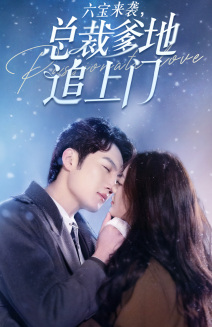 六宝来袭总裁爹地追上门(79集) 六宝来袭总裁爹地追上门(79集)短剧解说全集