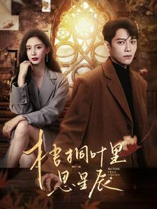 梧桐叶里思星辰（100集）一口气追完短剧