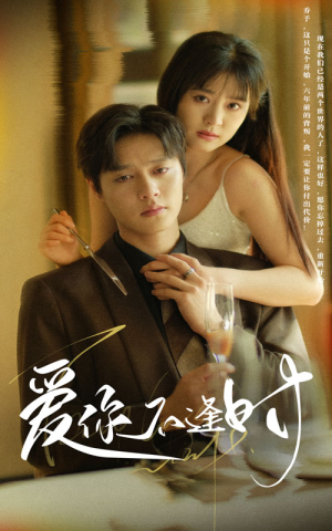 爱你不逢时（91集）精彩好看短剧