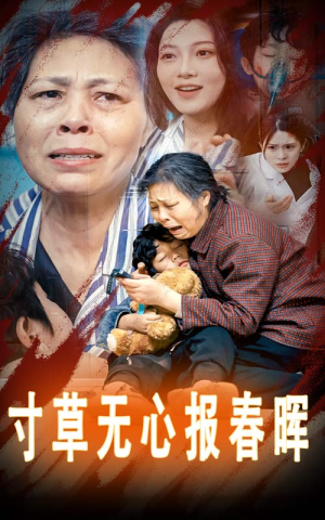 寸草无心报春晖（31集）短剧抢先看