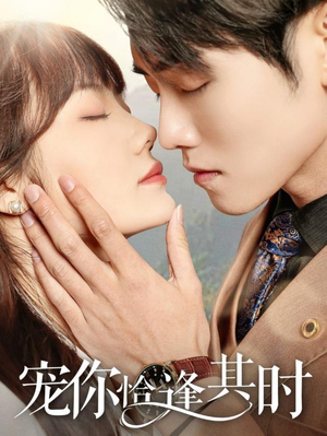 宠你恰逢其时(60集) 宠你恰逢其时(60集)全集完整版